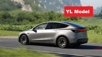 Tesla YL China